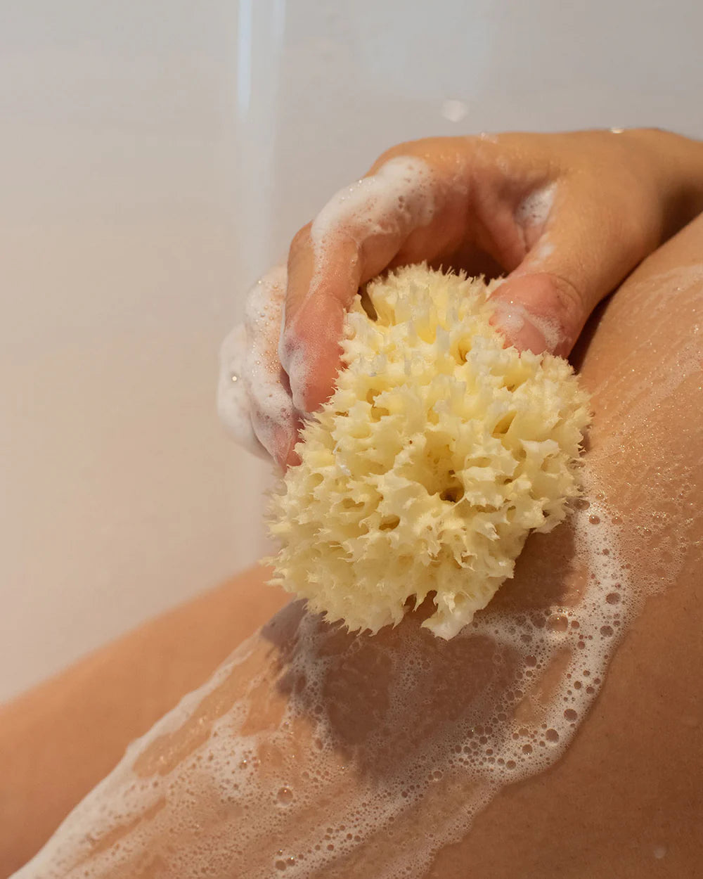 Natural sea sponge