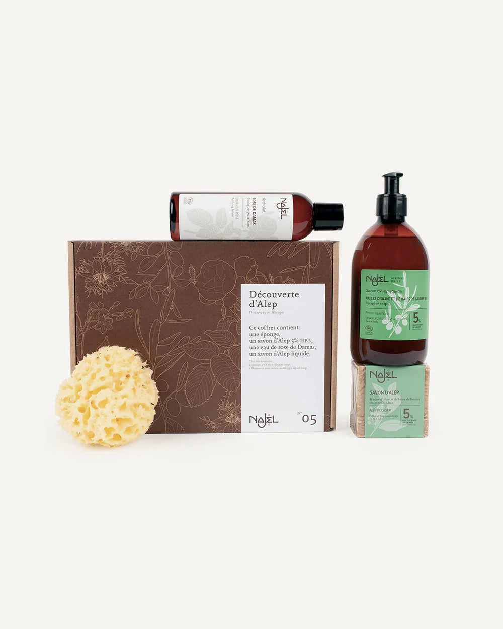 Aleppo Discovery box
