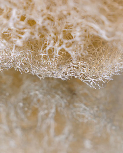 Raw Loofah