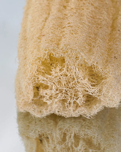 Raw Loofah