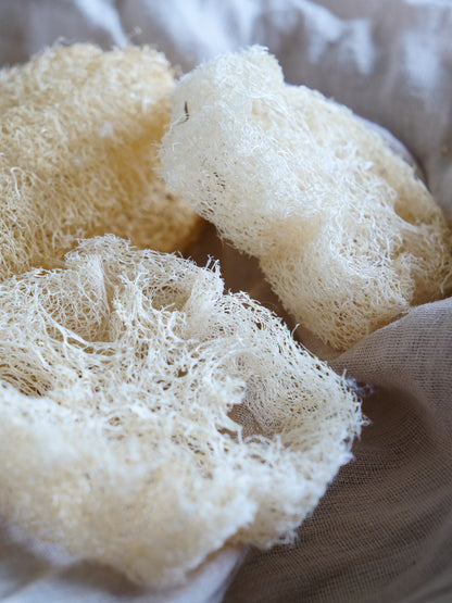Raw Loofah